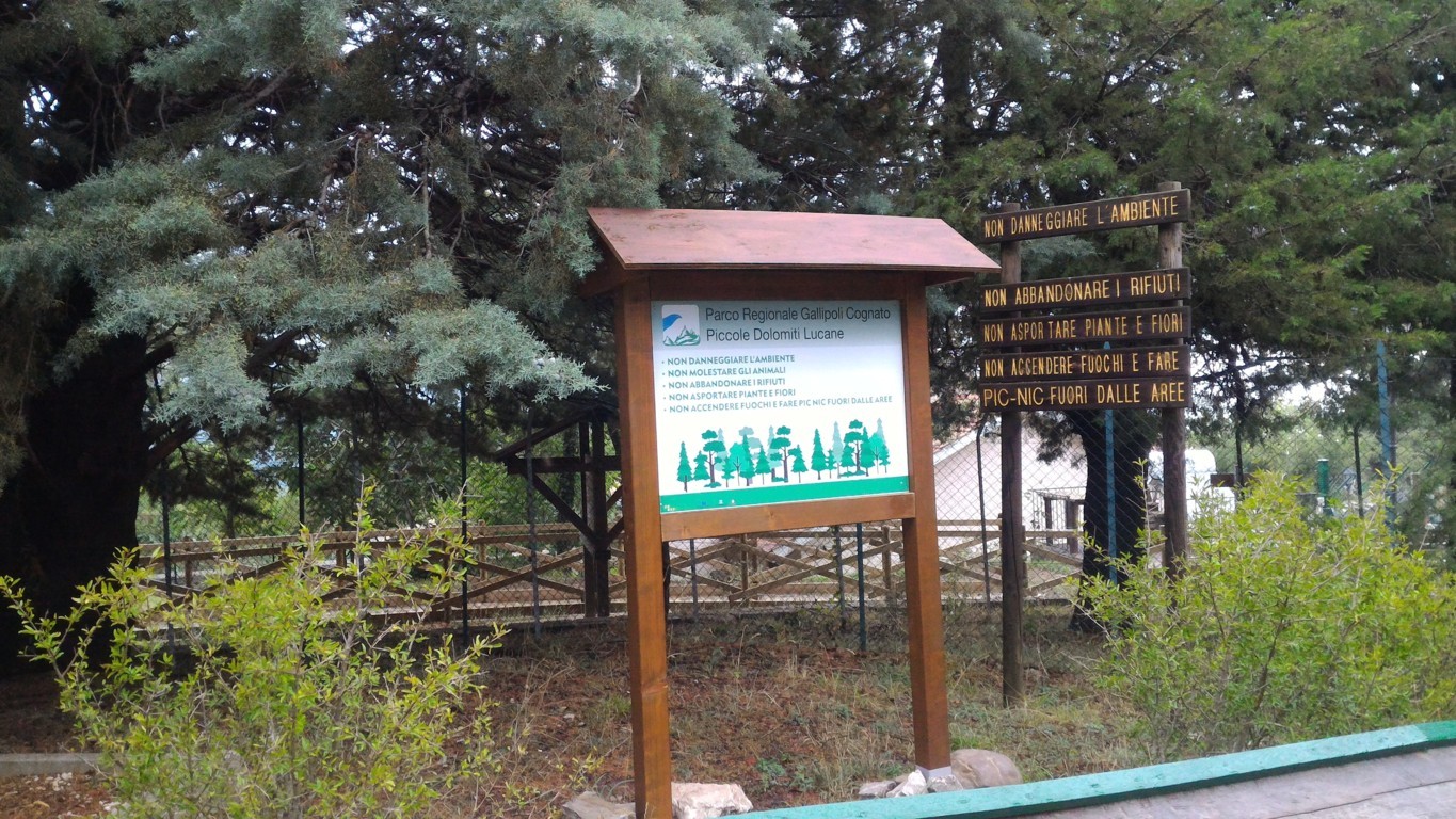 P_20160807_165539 .jpg
